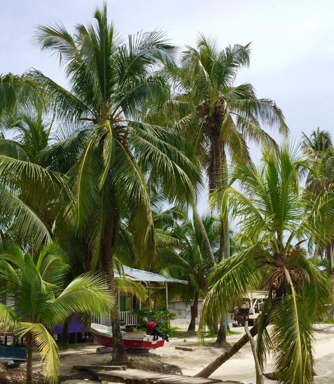 Riva B&B Bocas del Toro Exterior foto
